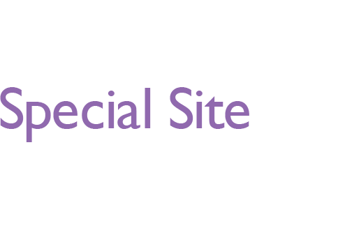 フォトグラファー向け液晶ディスプレイ「SW2700PT」Special Site ―   TIPA2016ベストフォトモニターアワードを受賞した27型WQHD/QHDカラーマネジメントディスプレイ「SW2700PT」の写真現像スペシャルコンテンツ。フォトグラファー小澤忠恭氏の写真現像における使い方のポイントや東京カメラ部10選が実際に写真現像に使用した感想をご紹介。